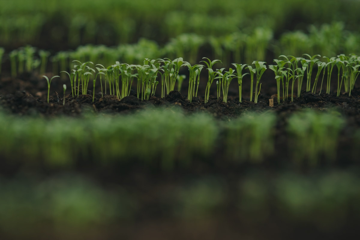 EGR - EcoGreenRoof